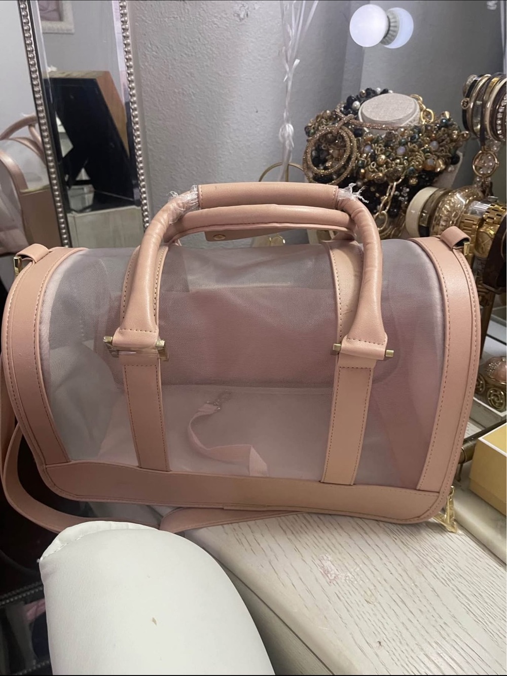 Pet Carrier- Clear Travel Tote Bag in Blush Pink - Transparent Handbag